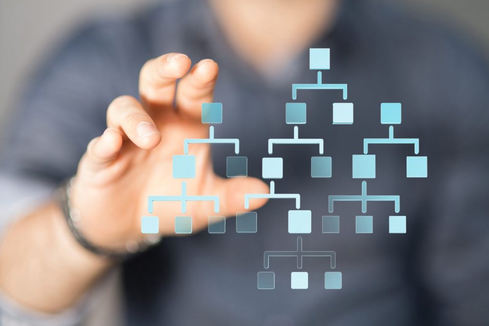 Organisational Hierarchies